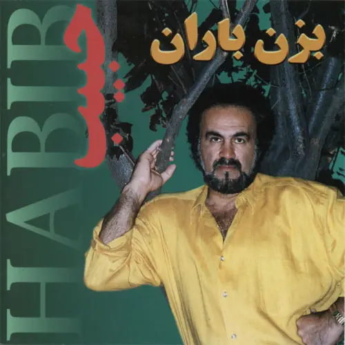 آهنگ بی کلام بزن باران حبیب